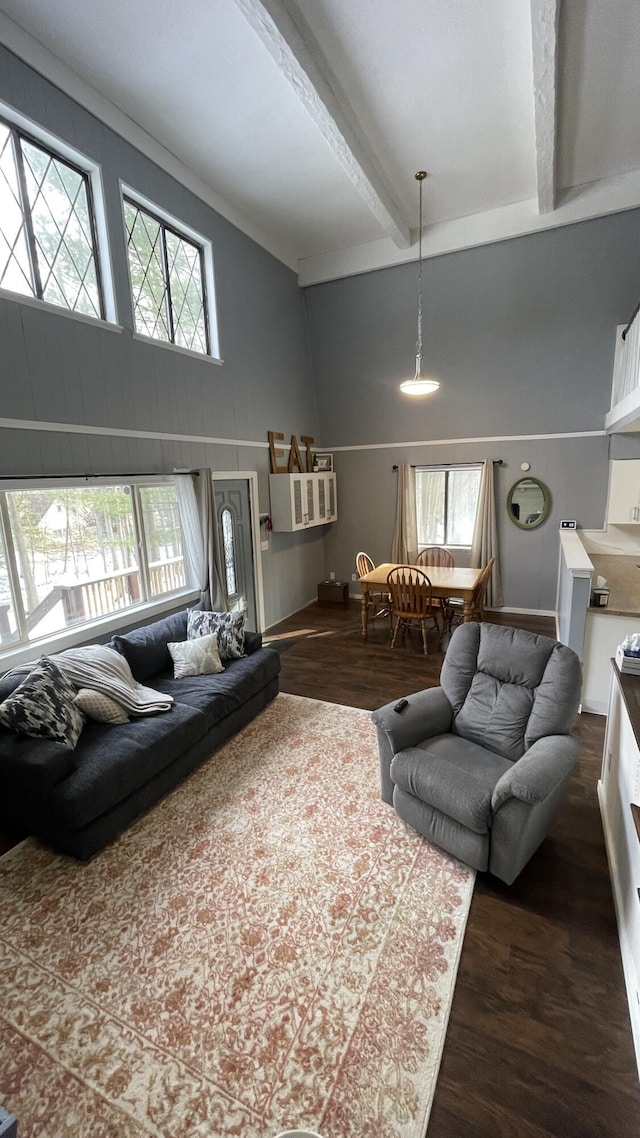 12181 Trail Creek Dr, Stanwood, MI 49346 - living room featuring a high ceiling, wood finished floors, and beam ceiling