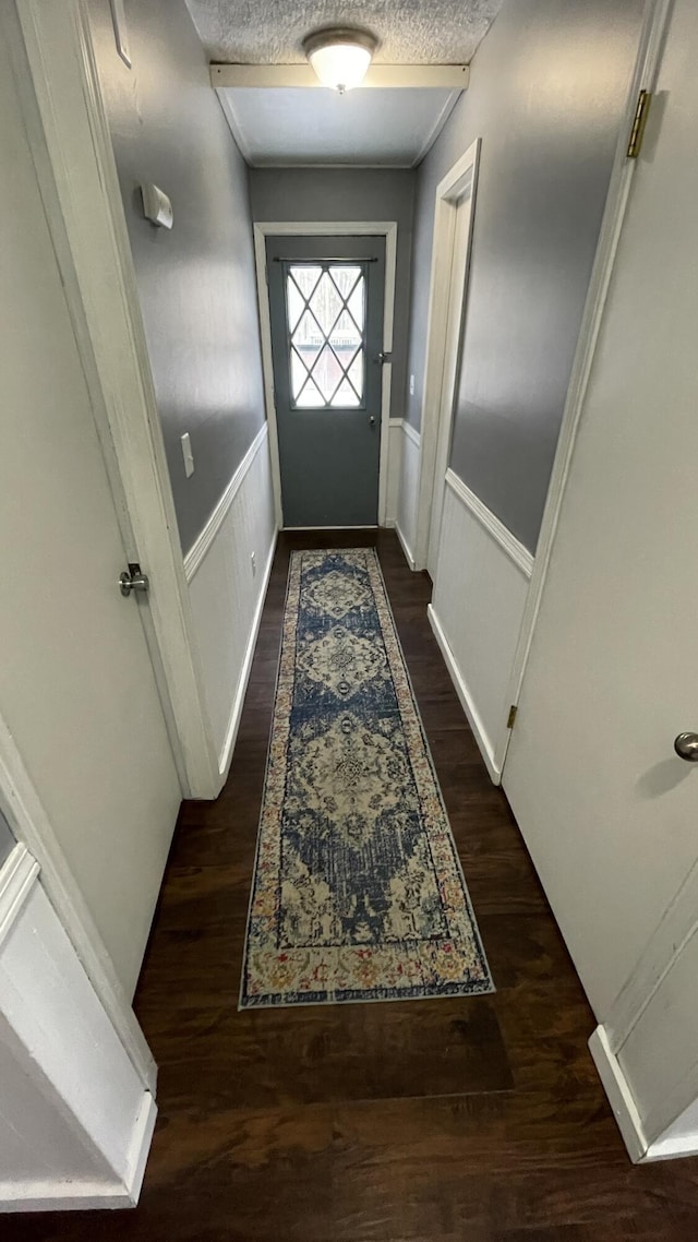 12181 Trail Creek Dr, Stanwood, MI 49346 - entryway featuring a wainscoted wall, a textured ceiling, and dark wood-style flooring