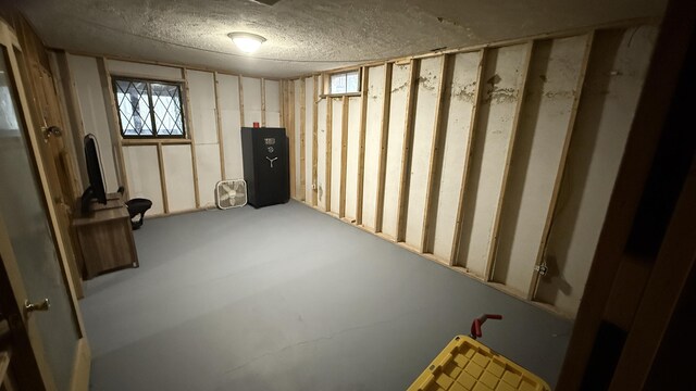 12181 Trail Creek Dr, Stanwood, MI 49346 - below grade area featuring a textured ceiling