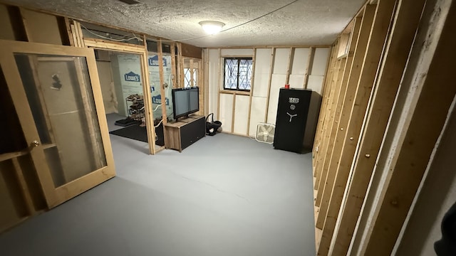 12181 Trail Creek Dr, Stanwood, MI 49346 - basement with a textured ceiling