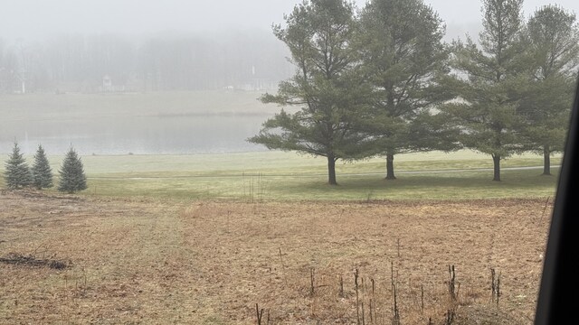 12181 Trail Creek Dr, Stanwood, MI 49346 - view of local wilderness