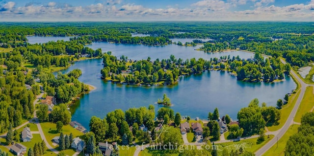12181 Trail Creek Dr, Stanwood, MI 49346 - drone / aerial view with a wooded view and a water view
