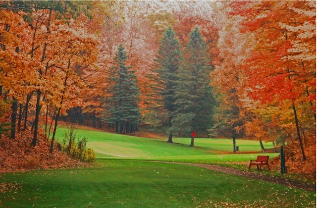 12181 Trail Creek Dr, Stanwood, MI 49346 - view of community with a lawn