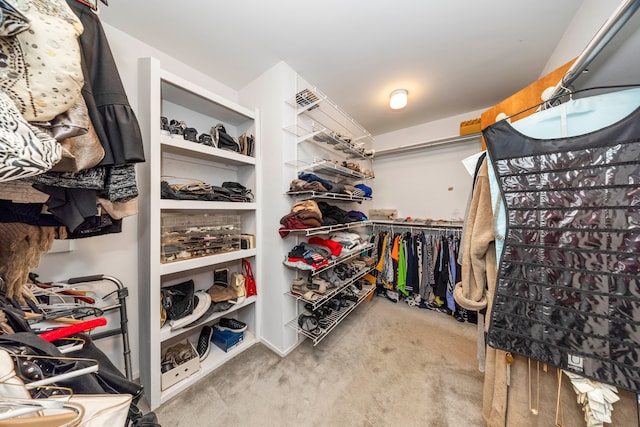 spacious closet featuring carpet flooring