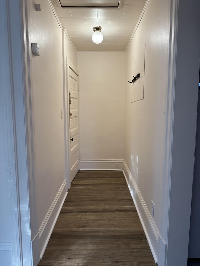 612 Lansing Ave, Jackson, MI 49202 - corridor with dark wood finished floors and attic access