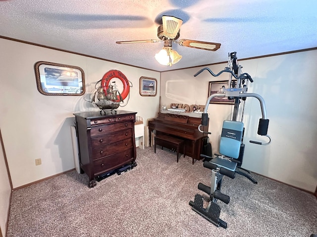 13027 Norman Rd, Brockway, MI 48097 - workout area with a ceiling fan, a textured ceiling, ornamental molding, and carpet floors