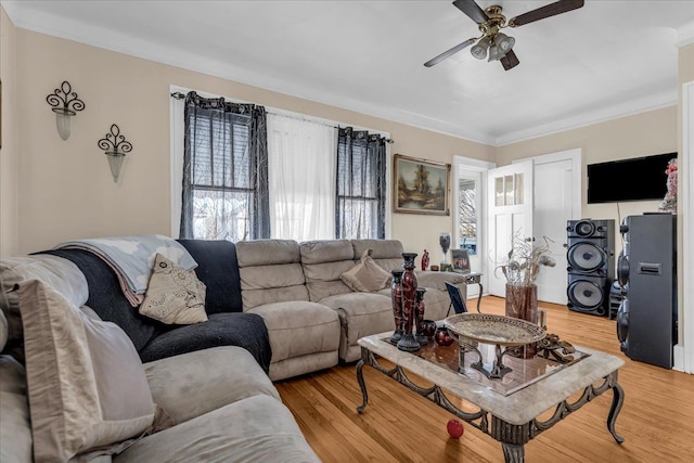 living area with light wood-type flooring, ornamental molding, a ceiling fan, and a wealth of natural light