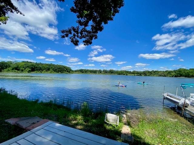 5959 Alan Unit 54, Brighton, MI 48116 - dock area with a water view