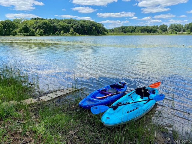 5959 Alan Unit 54, Brighton, MI 48116 - water view