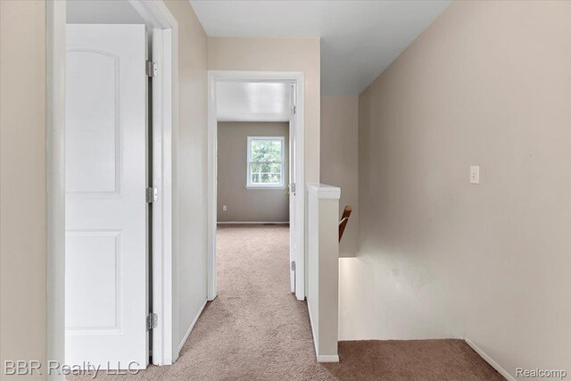 20109 Cumberland, Brownstown, MI 48183 - corridor with carpet floors and an upstairs landing