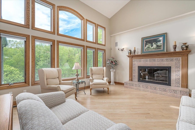 16396 M-89, Augusta, MI 49012 - living area featuring baseboards, high vaulted ceiling, light wood-style flooring, and a tiled fireplace