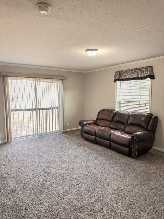 carpeted living area featuring crown molding, a wealth of natural light, and a textured ceiling