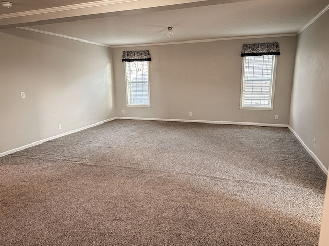 carpeted spare room with crown molding and baseboards