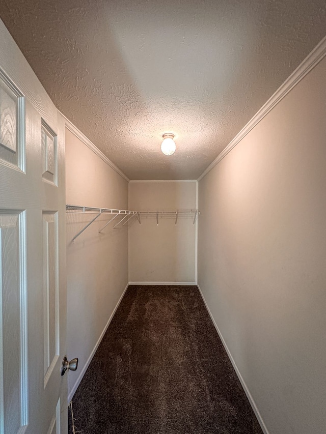 spacious closet with carpet floors