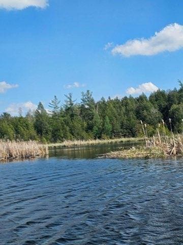16824 Shawano Dr NE, Sand Lake, MI 49343 - water view featuring a forest
