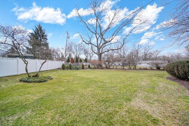 view of yard with a fenced backyard