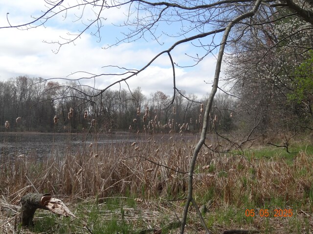 640 S Oak Ave, White Cloud, MI 49349 - view of local wilderness with a wooded view