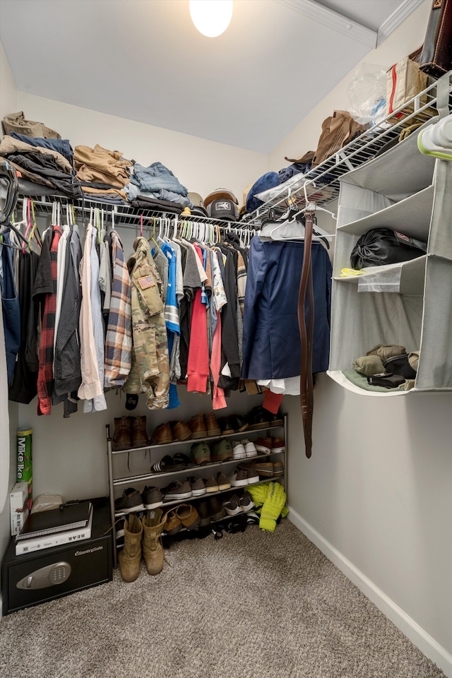 33172 Swallow Dr, Rockwood, MI 48173 - spacious closet with carpet floors