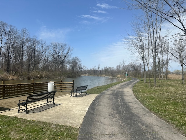 33172 Swallow Dr, Rockwood, MI 48173 - view of property's community featuring a water view