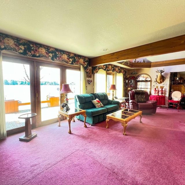 living room with a textured ceiling and carpet floors