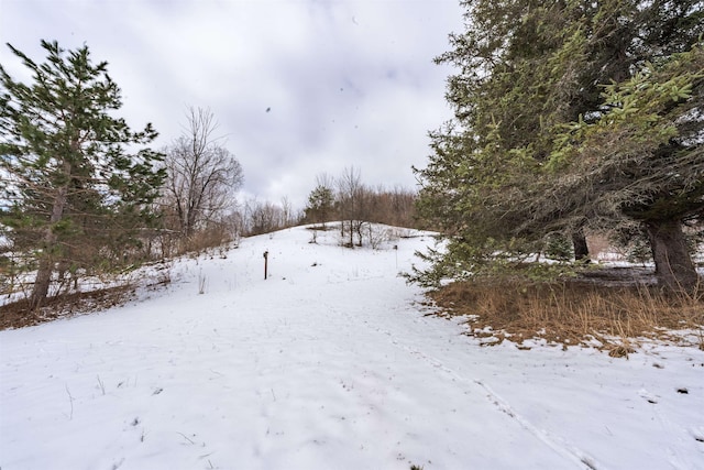view of snowy yard