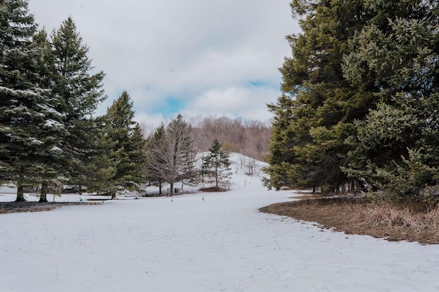 view of snowy yard