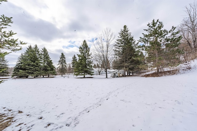 view of yard covered in snow