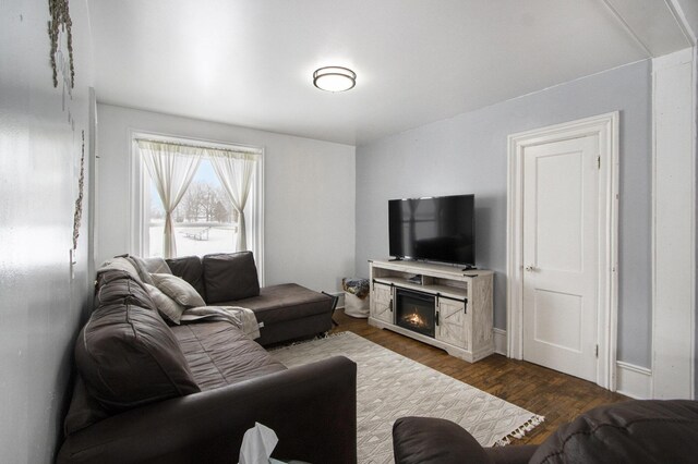 31585 Michigan Ave, Leonidas, MI 49066 - living area with a glass covered fireplace and dark wood-style floors