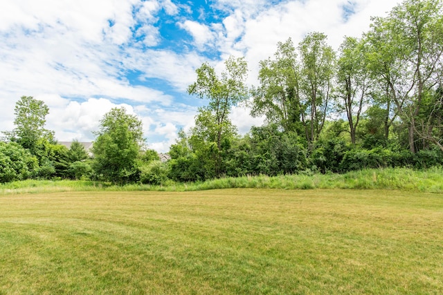 3733 Wetherington, Kalamazoo, MI 49006 - view of grassy yard
