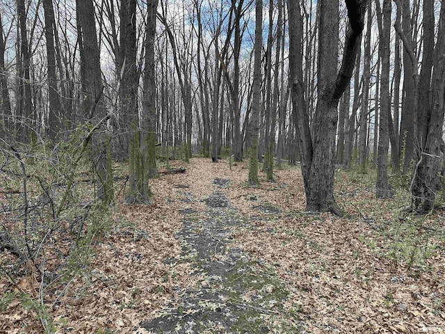 view of nature with a wooded view