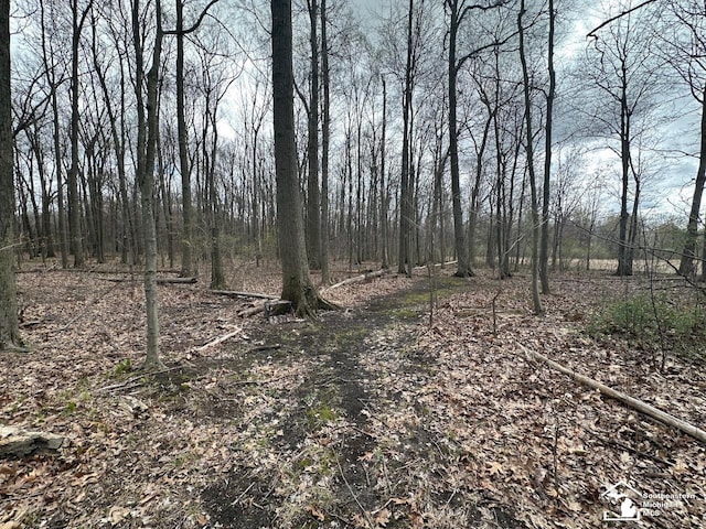 view of local wilderness featuring a view of trees