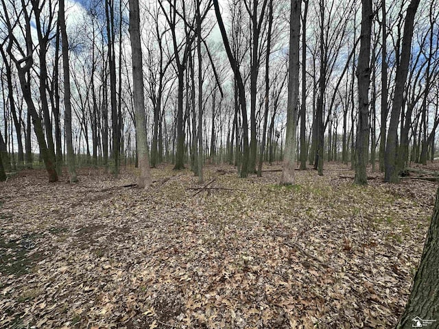 view of local wilderness