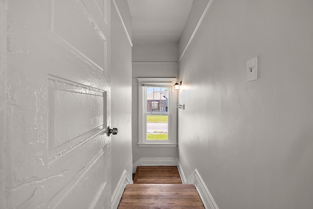 stairs featuring wood finished floors and baseboards