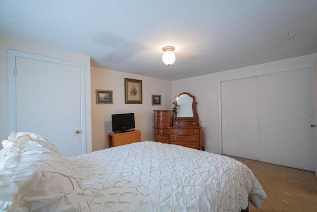 carpeted bedroom with a closet
