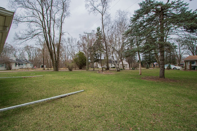 view of yard