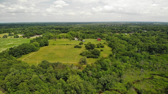 8162 Groveland Rd, Holly, MI 48442 - view of rural area featuring a forest