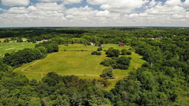 8162 Groveland Rd, Holly, MI 48442 - bird's eye view of a heavily wooded area