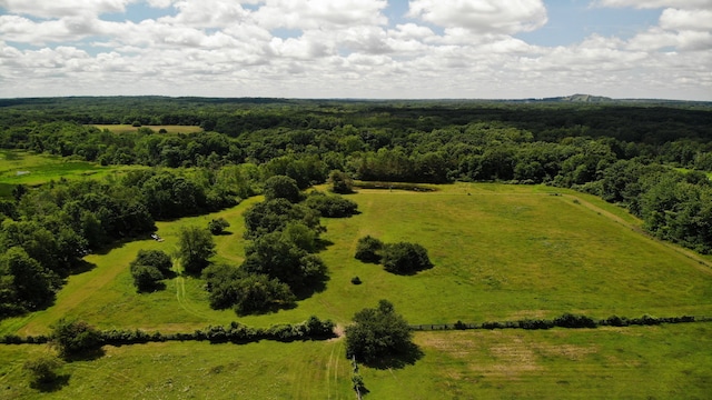 8162 Groveland Rd, Holly, MI 48442 - drone / aerial view of a forest