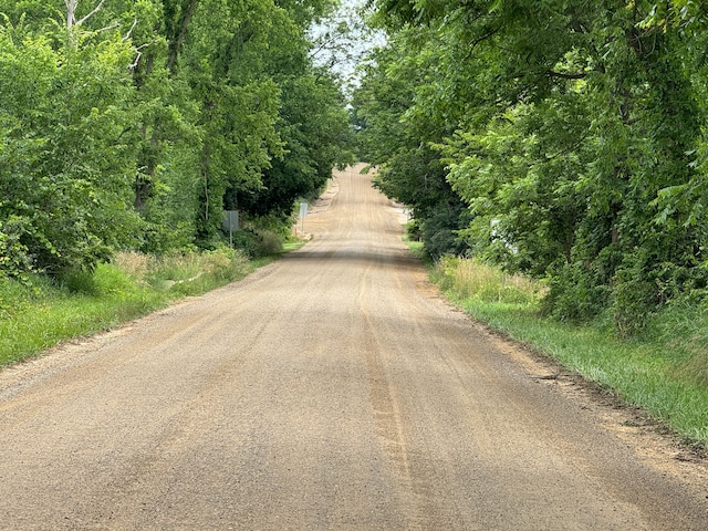 8162 Groveland Rd, Holly, MI 48442 - view of dirt / gravel road
