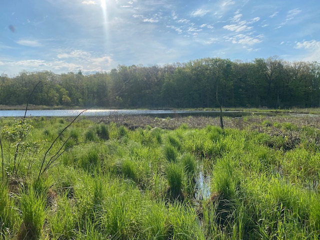 8162 Groveland Rd, Holly, MI 48442 - view of yard featuring a water view and a wooded view
