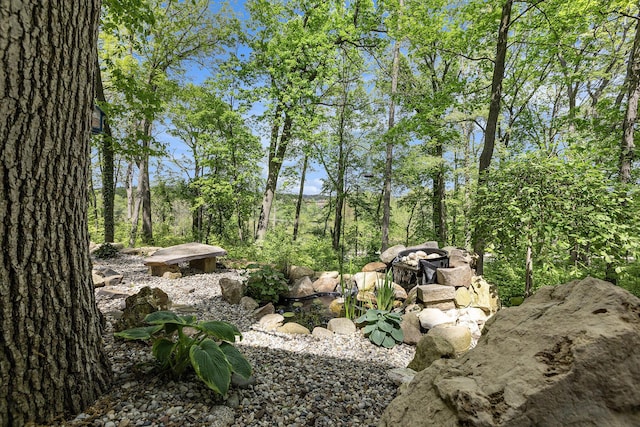403 Riverview Dr, Ann Arbor, MI 48104 - view of yard