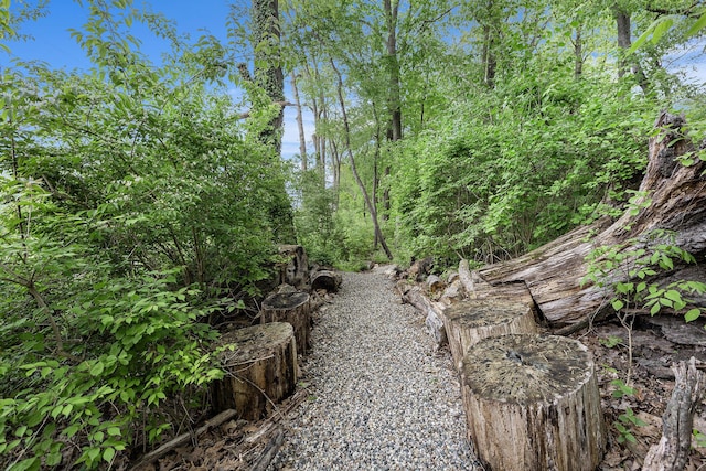 403 Riverview Dr, Ann Arbor, MI 48104 - view of yard