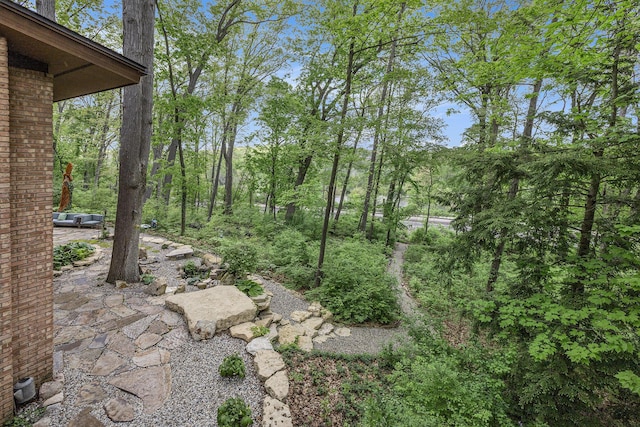 403 Riverview Dr, Ann Arbor, MI 48104 - view of yard