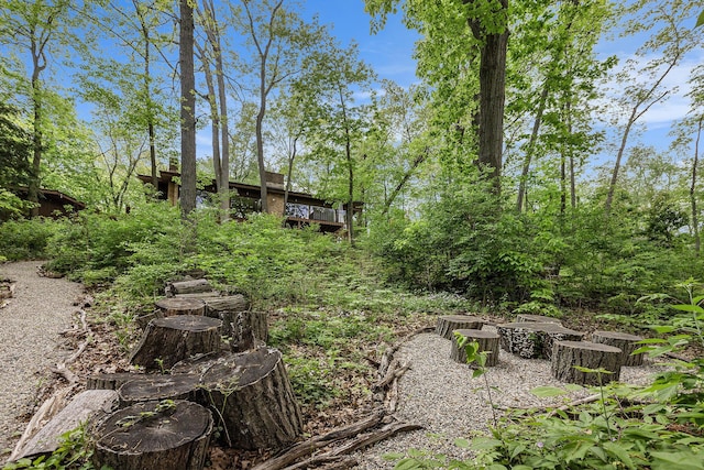 403 Riverview Dr, Ann Arbor, MI 48104 - view of yard