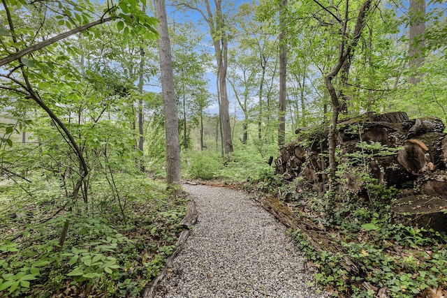 403 Riverview Dr, Ann Arbor, MI 48104 - view of surrounding community