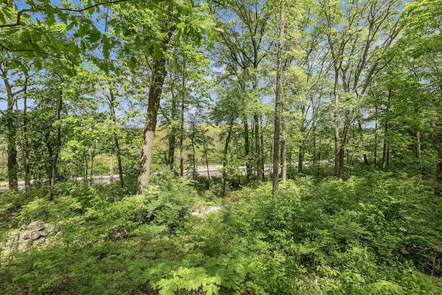 403 Riverview Dr, Ann Arbor, MI 48104 - view of nature