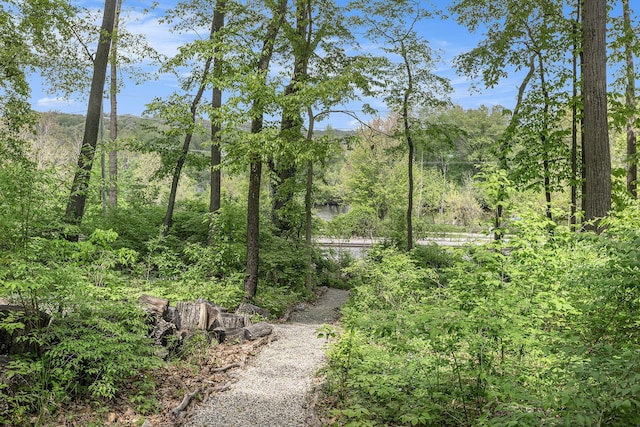 403 Riverview Dr, Ann Arbor, MI 48104 - view of yard featuring a forest view