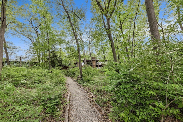 403 Riverview Dr, Ann Arbor, MI 48104 - view of yard