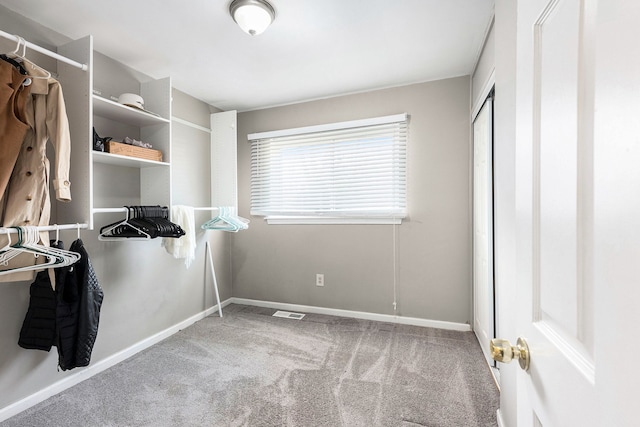 walk in closet with carpet floors