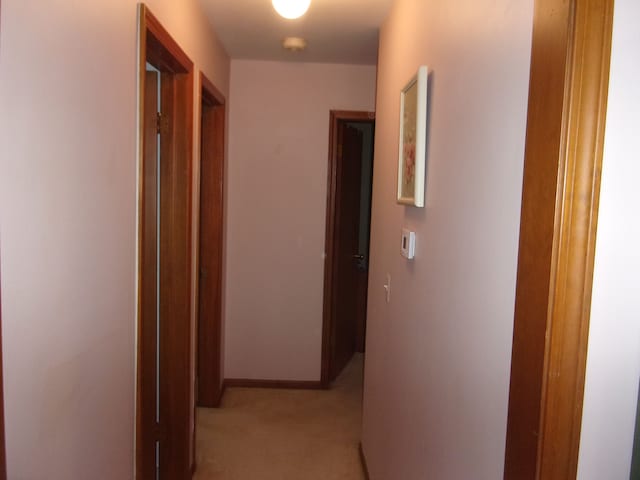 hallway with light carpet and baseboards